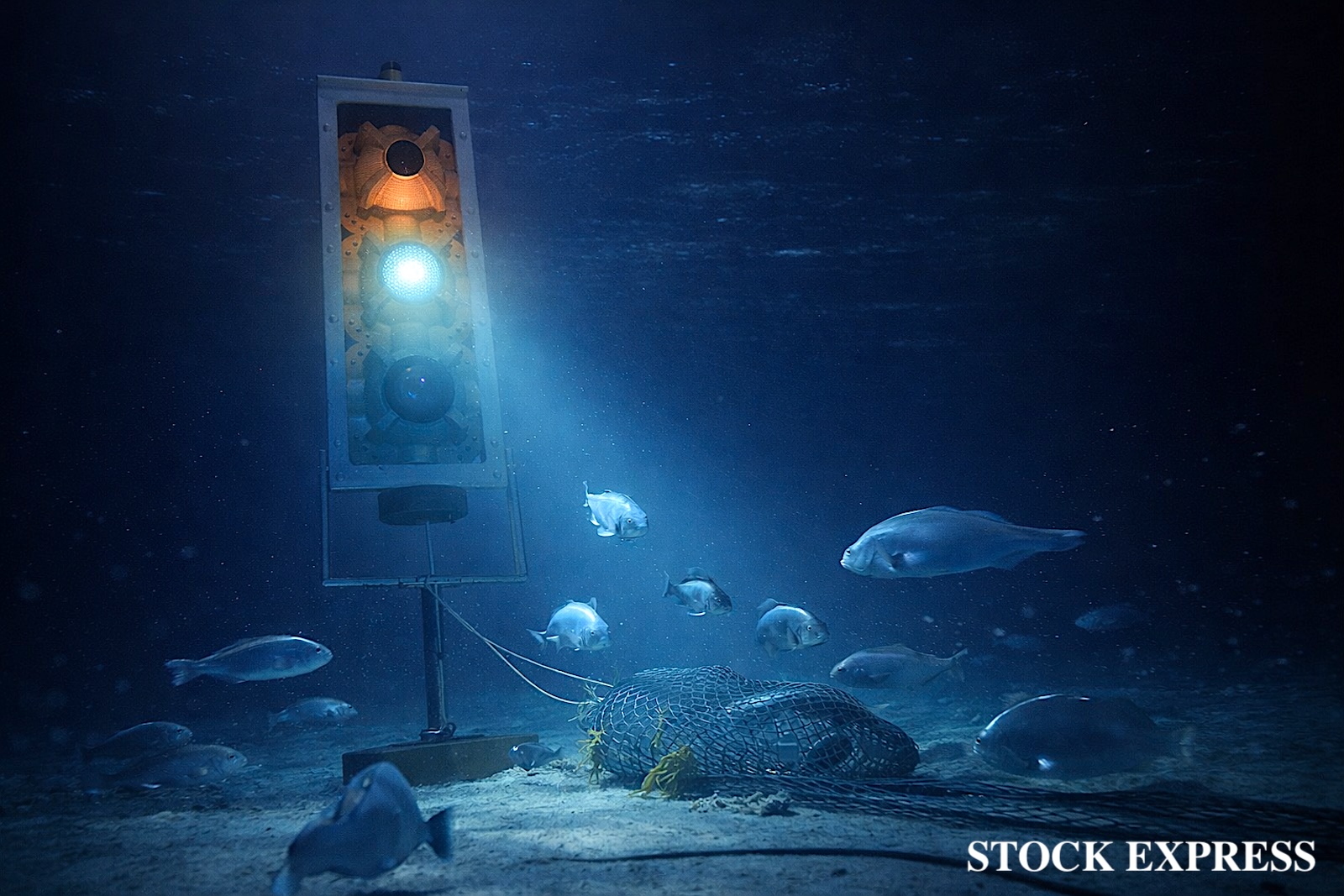 江戸っ子1号 イメージ